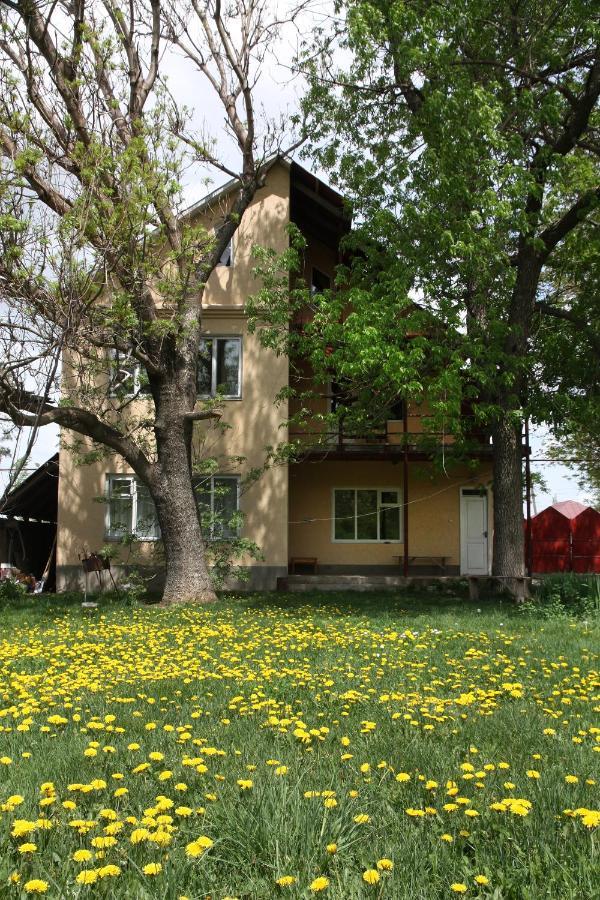 Дом Жени И Люды Otel Zhabagly Dış mekan fotoğraf